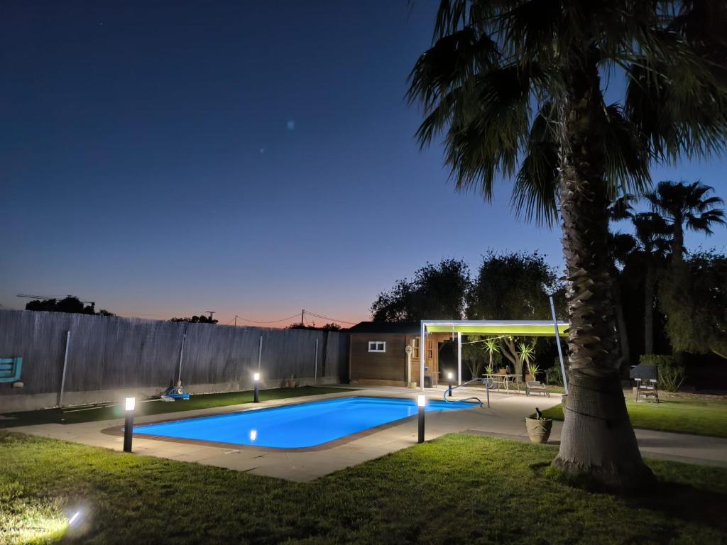 a swimming pool at night with a palm tree at Chalet La Calma en Lorca in Lorca