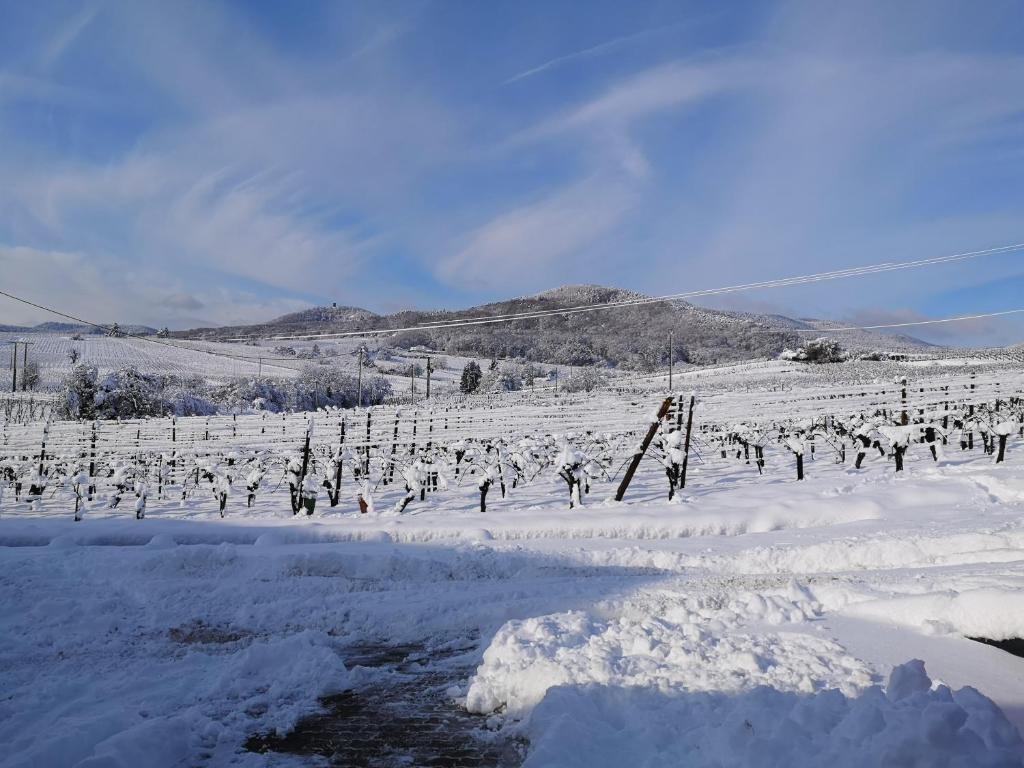 L'Altenberg – photo 42