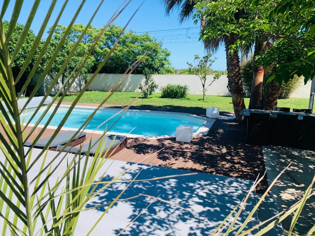une piscine dans une cour arrière avec un palmier dans l'établissement VILLA 250m2 Montpellier Sete Palavas, à Mireval