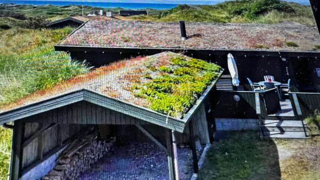 Saltum的住宿－Veludstyret sommerhus i unik natur 350 m fra lækker badestrand - helårsbolig，一座有屋顶的建筑,上面有草