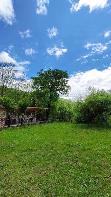 Zahrada ubytování Mira Hills