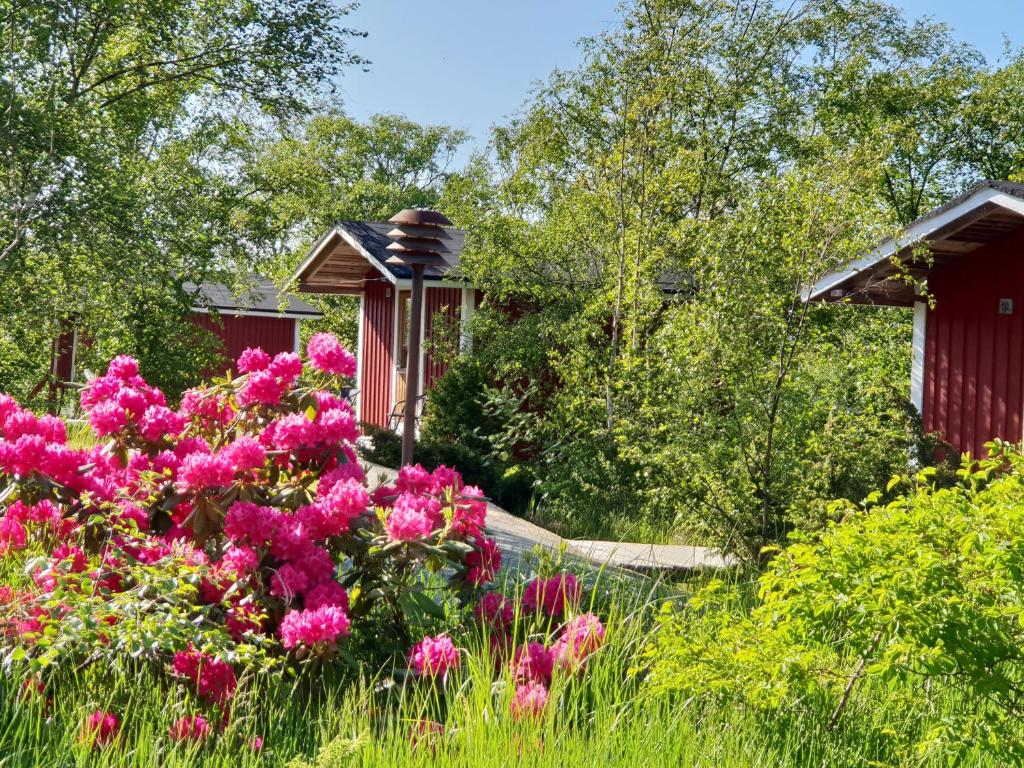 einen Garten mit rosa Blumen und einem Pavillon in der Unterkunft Kökar Havspaviljong Cottages in Kökar