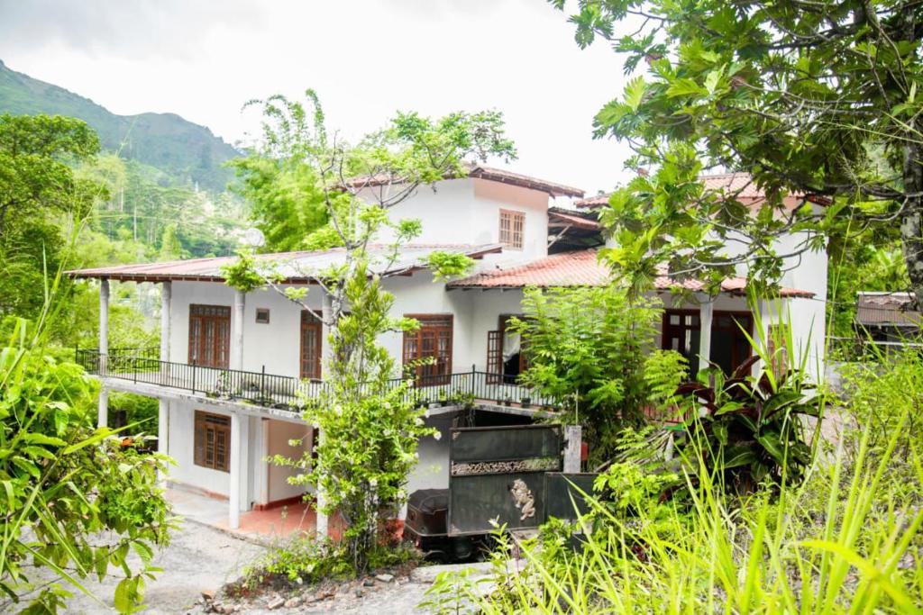 a house in the middle of a forest at Sun City Family Inn in Hatton