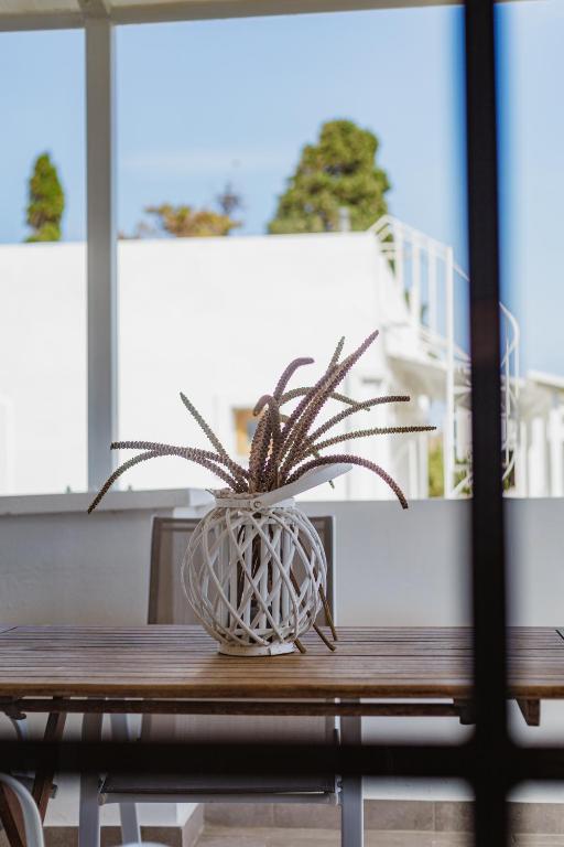 a potted plant sitting on top of a wooden table at Studios Eliza in Livadi