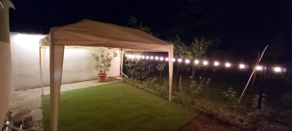 Zahrada ubytování Vidra Apartman- Zamárdi