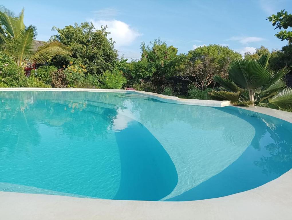 a large blue swimming pool with trees in the background at Matemwe Ocean View Villas in Matemwe