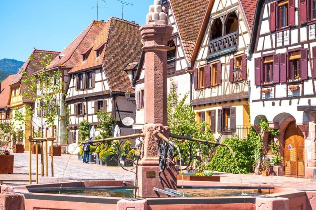 Le cocon de Jeannette – photo 33