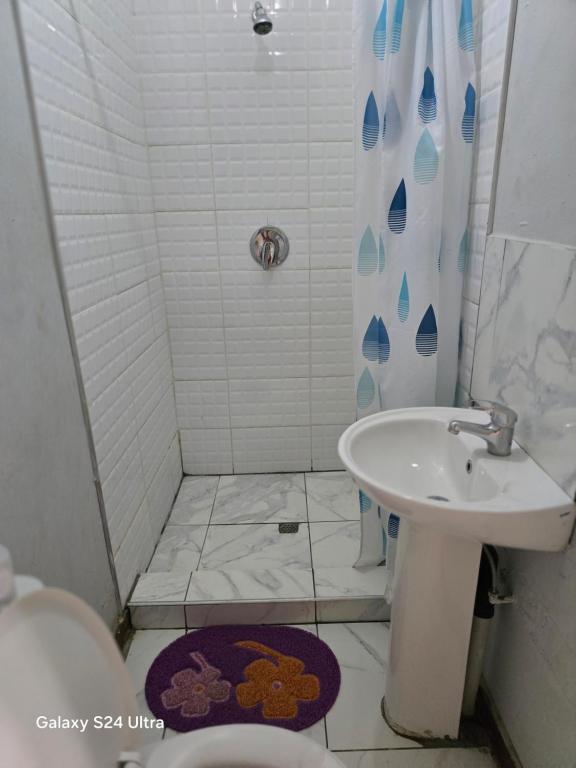 Vonios kambarys apgyvendinimo įstaigoje DREAMLAND GUEST HOUSe
