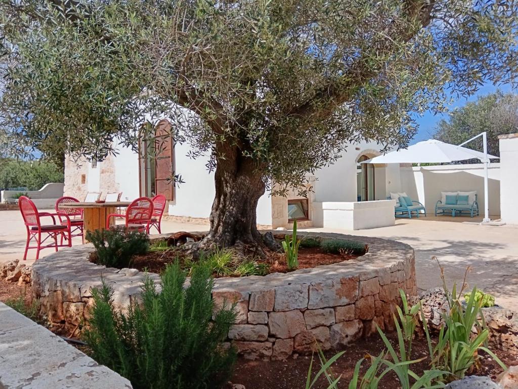 un arbre dans un mur de pierre avec une table et des chaises dans l'établissement Trullo Zurlo, à Ostuni