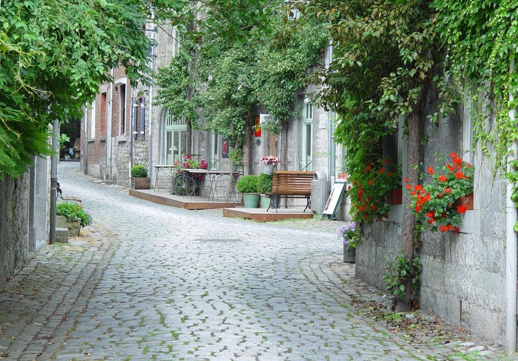 Zahrada ubytování B&B Ferme de Leuze Rustieke Gîtes nabij Durbuy, eigen laadpalen