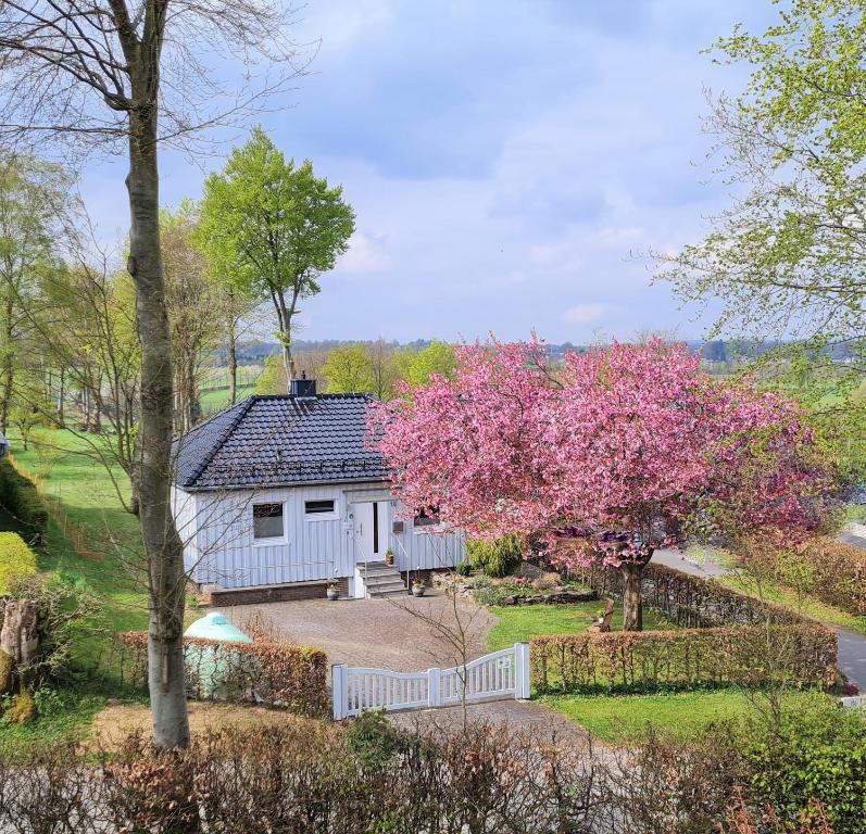 Biały dom z płotem i kwitnącym drzewem w obiekcie Ferienhaus Kirschblüte w mieście Monschau