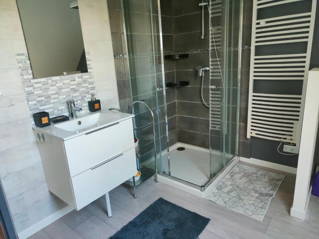 a bathroom with a shower and a sink and a shower at Chambre récente chez particuliers in Francueil