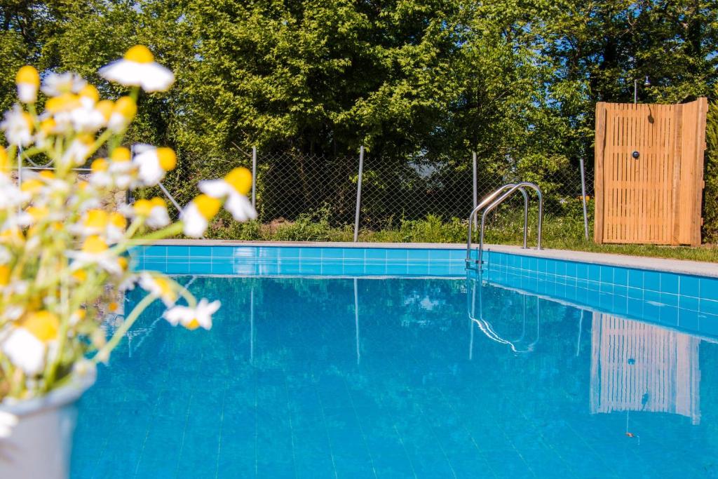 uma piscina azul com torneira em Aristotelia Gi Ikies - Olympiada Poolside Retreats em Olympiada
