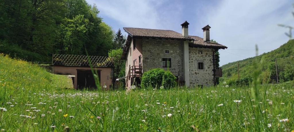 una vecchia casa in pietra in un campo di fiori di Mulino Baiar a Stregna