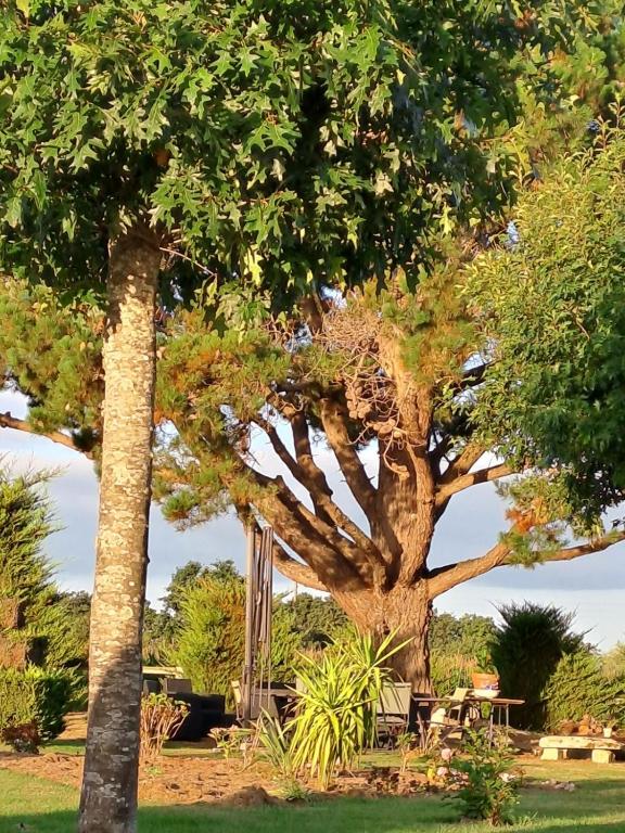 Zahrada ubytování gîte en campagne Lamégritnière