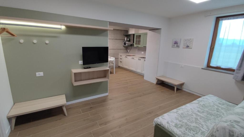 TV a/nebo společenská místnost v ubytování Agriturismo Cjargnei