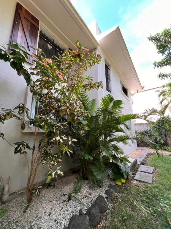 a house with some plants in front of it at Appartement 2 chambres avec Jardin privé sur la côte Nord in Calodyne