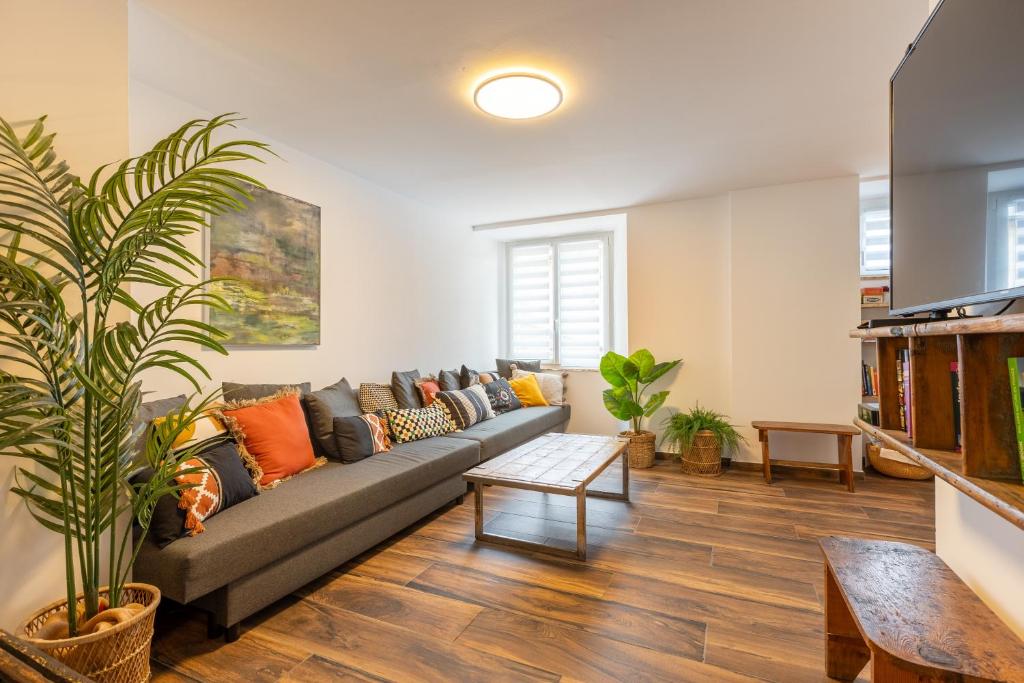 un salon avec un canapé et quelques plantes dans l'établissement Cal Bourquets - Vue montagne, à Err