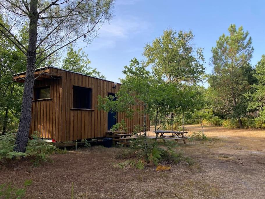 Fotografie z fotogalerie ubytování Camping la Kahute - Tiny House au coeur de la fôret v destinaci Carcans