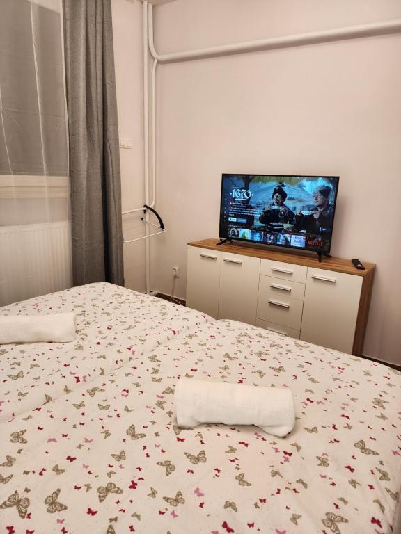 sypialnia z łóżkiem z telewizorem i narzutą w obiekcie Przytulne, nowoczesne mieszkanie 2 Br w mieście Rzeszów