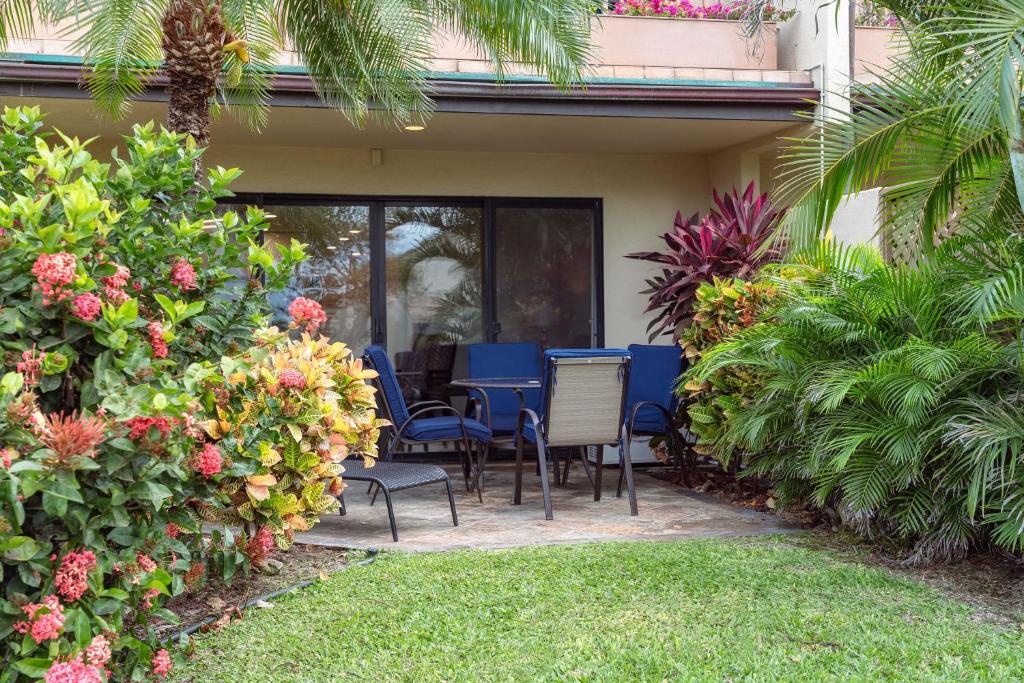 Zahrada ubytování Maui Kamaole J 108