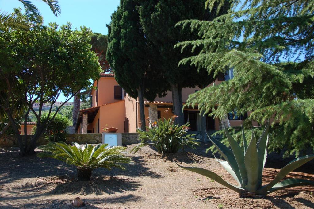 un jardín con plantas frente a una casa en I Fiori di Salici, en Capoliveri