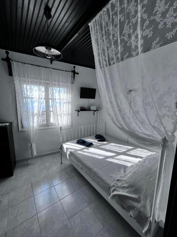 a bedroom with a bed with a canopy and two windows at Aelia in Ioulis