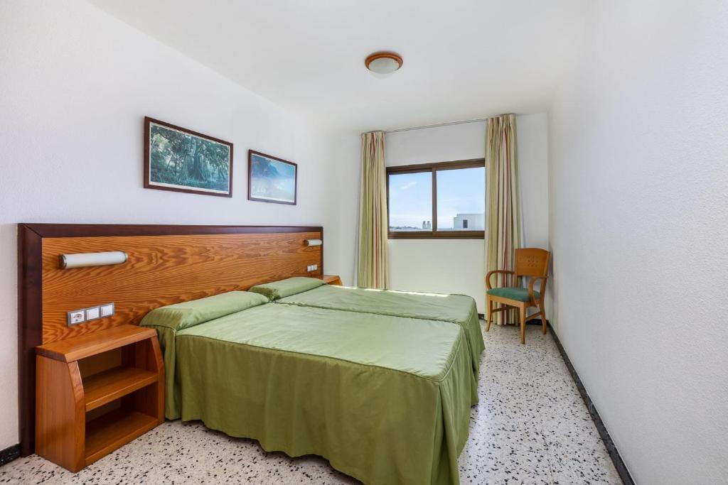 una camera d'albergo con letto e finestra di Los Ficus a Playa del Ingles