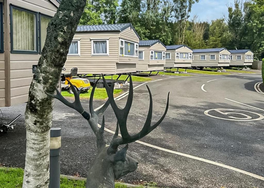 una statua di una testa di cervo attaccata ad un albero di Lemonford Caravan Park a Bickington