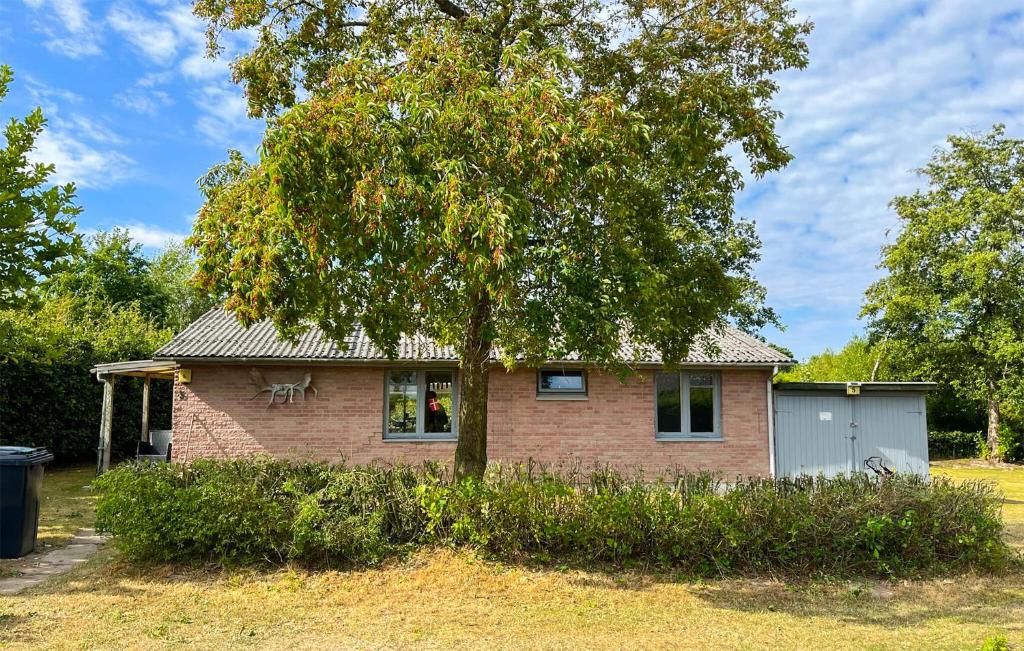 una pequeña casa de ladrillo con un árbol delante de ella en Cozy Home In Nordborg With Wifi, en Nordborg