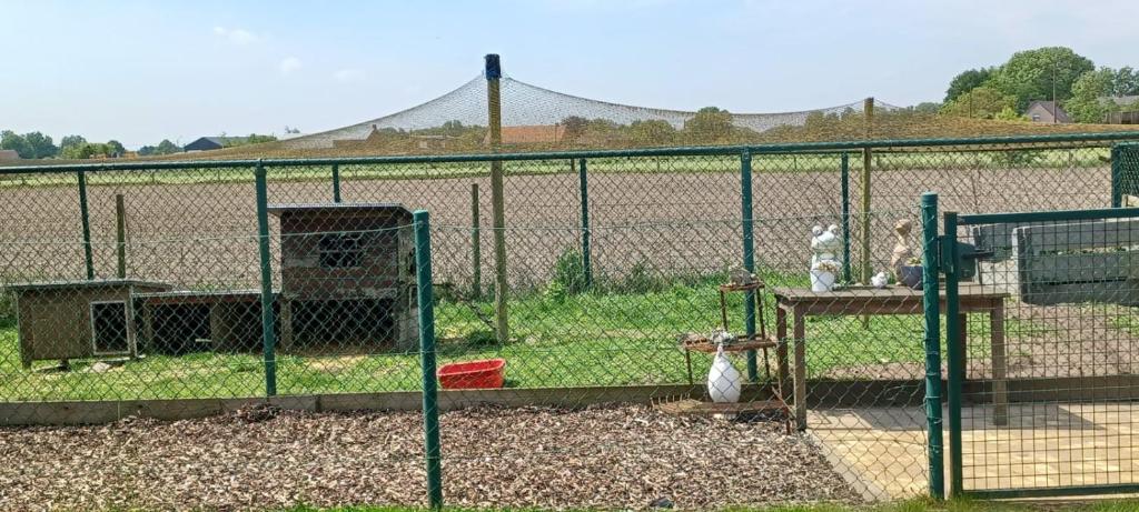 una recinzione a catena di fronte a un campo di didi logement a Westerlo