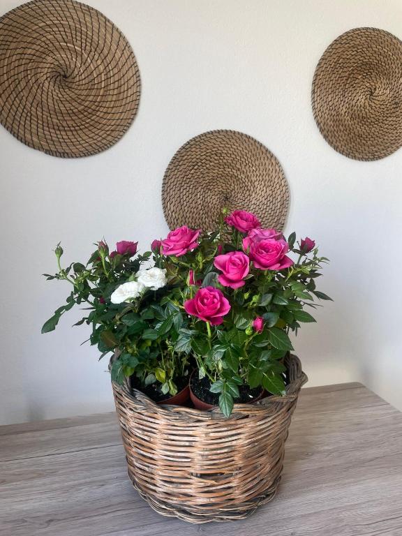 Fotografie z fotogalerie ubytování Rose e fiori v destinaci Teulada