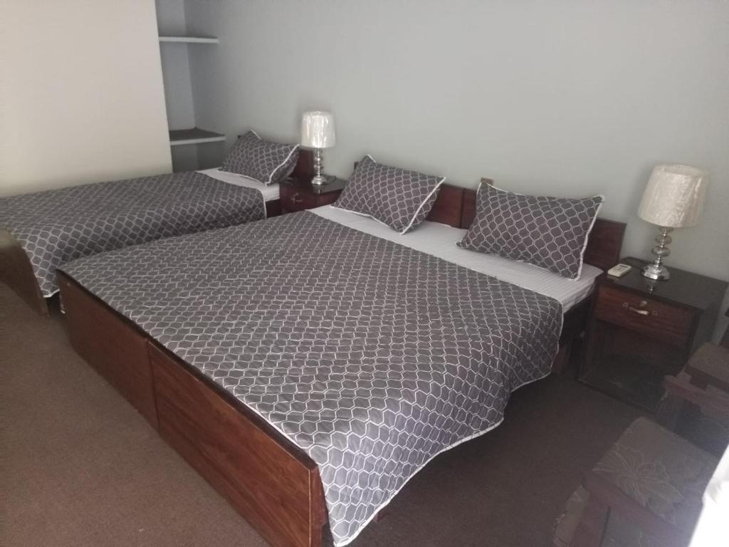 Легло или легла в стая в Palms View
