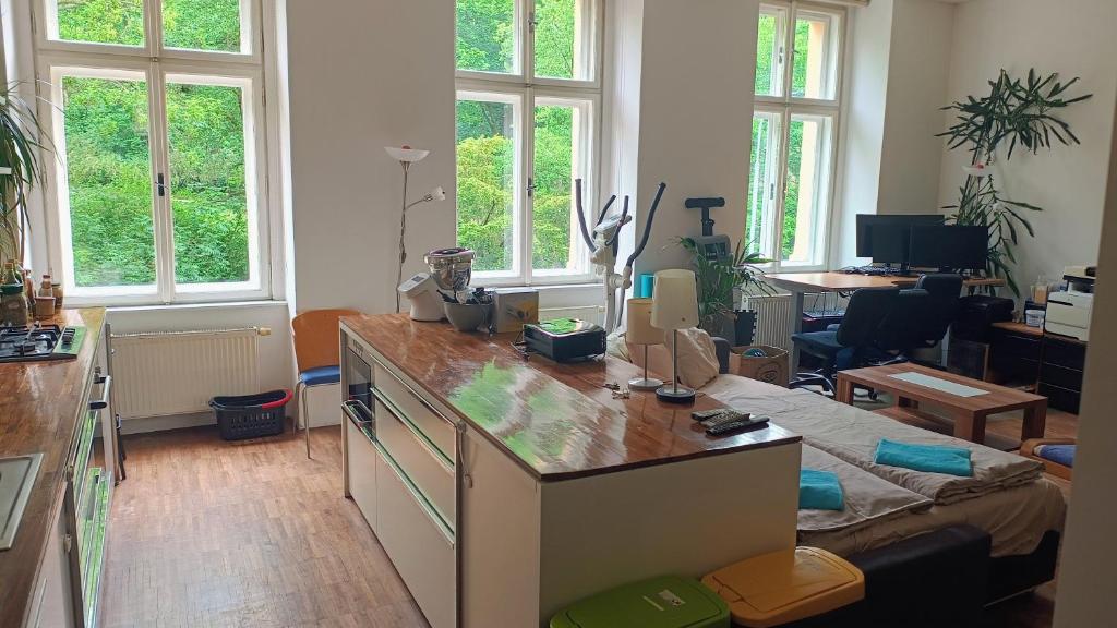 Televízia a/alebo spoločenská miestnosť v ubytovaní Park View - a digital Nomad's dream