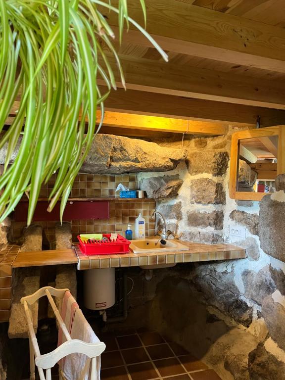 a kitchen with a sink and a stone wall at Loft du Moulin Chandy in Usson-en-Forez