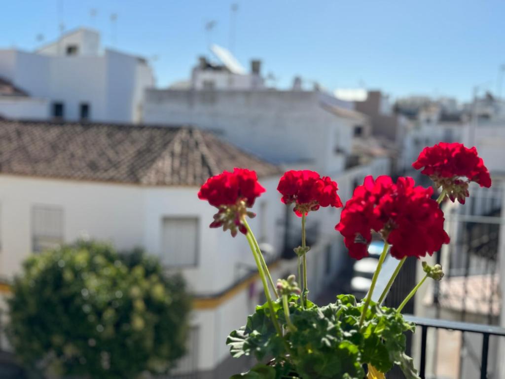 a group of red flowers sitting on a balcony at Encantadora casa en el corazón de Estepona in Estepona