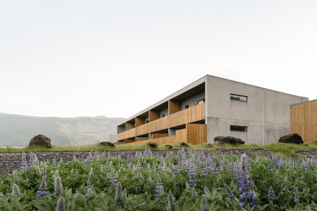 un edificio en un campo con flores púrpuras en Vík Apartments en Vík