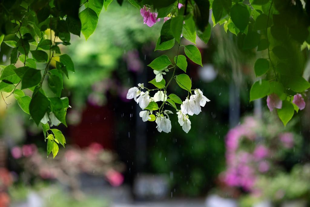 Trang An Family Homestay - 18