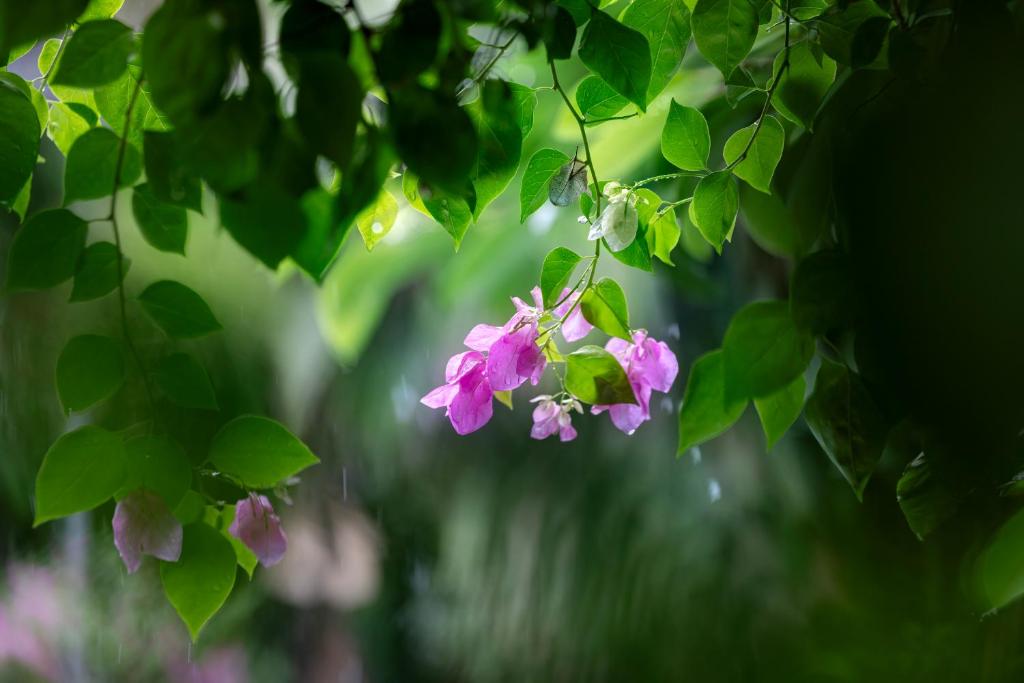 Trang An Family Homestay - 16