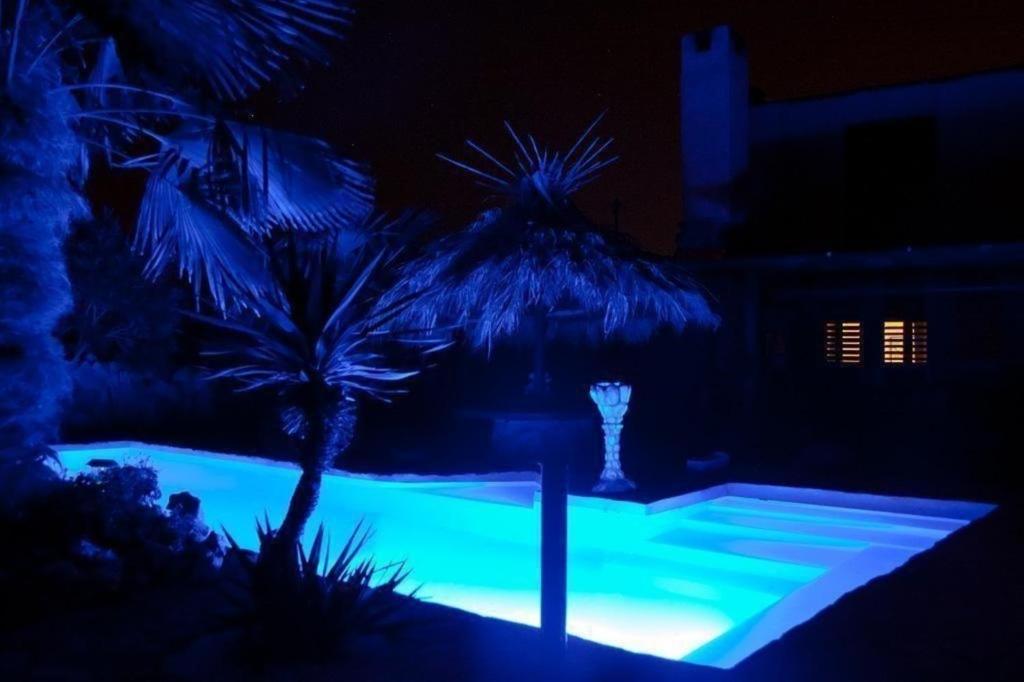 einen Pool mit blauen Lichtern vor Palmen in der Unterkunft Tolles Ferienhaus in Pomer mit Eigenem Pool in Medulin