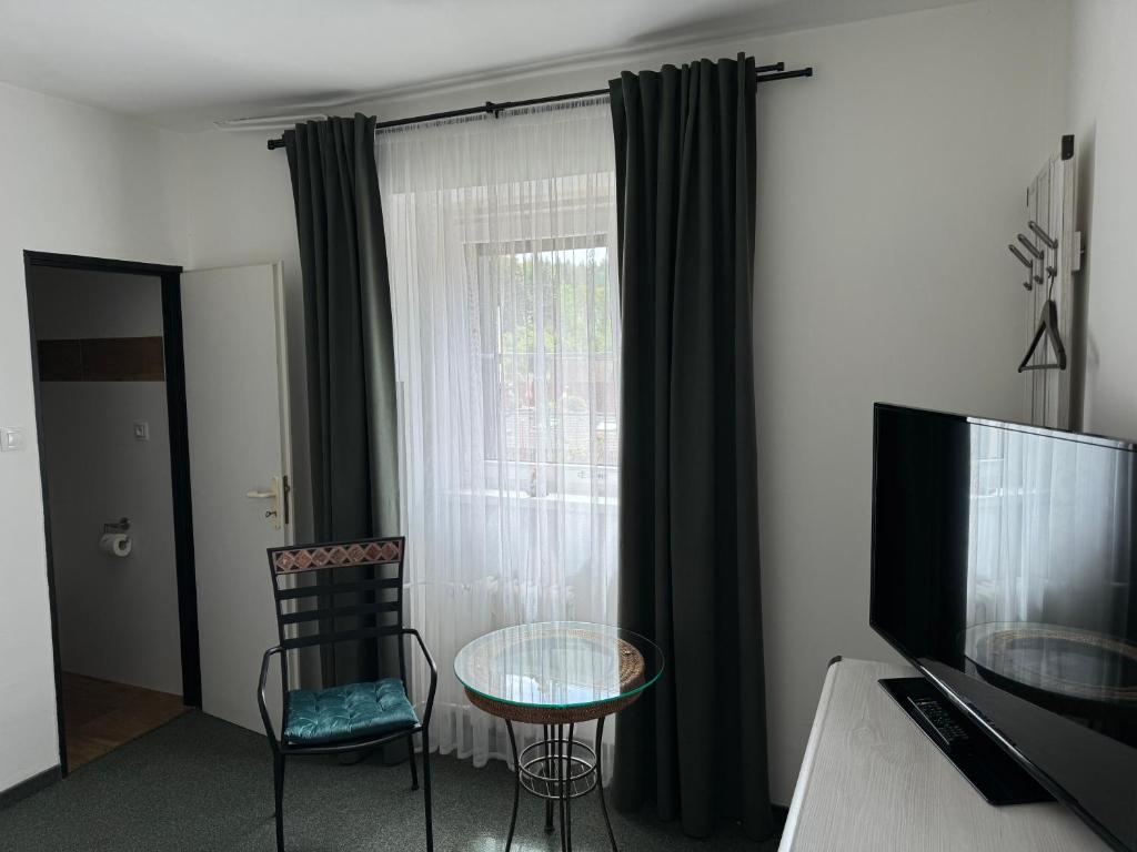 TV a/nebo společenská místnost v ubytování Pension U Draka