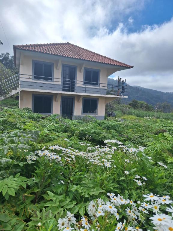 Příroda nedaleko prázdninového domu