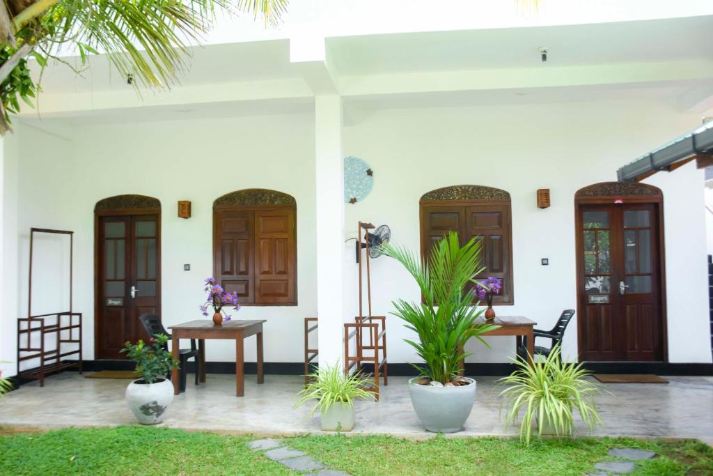 Zahrada ubytování The Ceylon Lazy Lagoon Mirissa