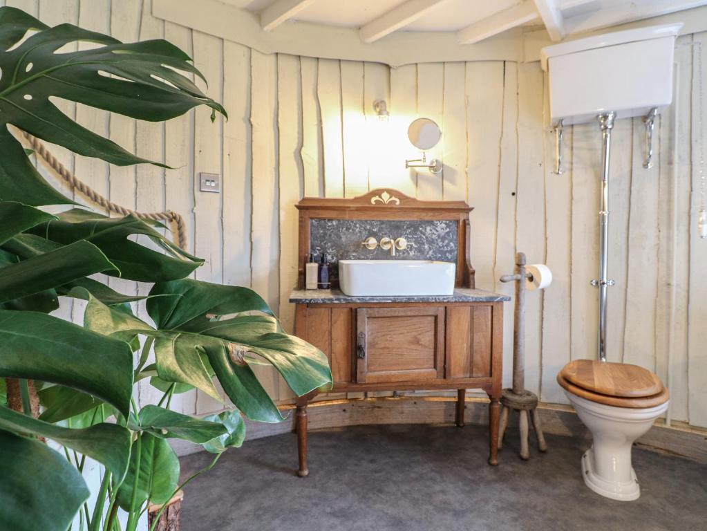 a bathroom with a toilet and a sink at The Lazy Squire by The Water in Rugeley