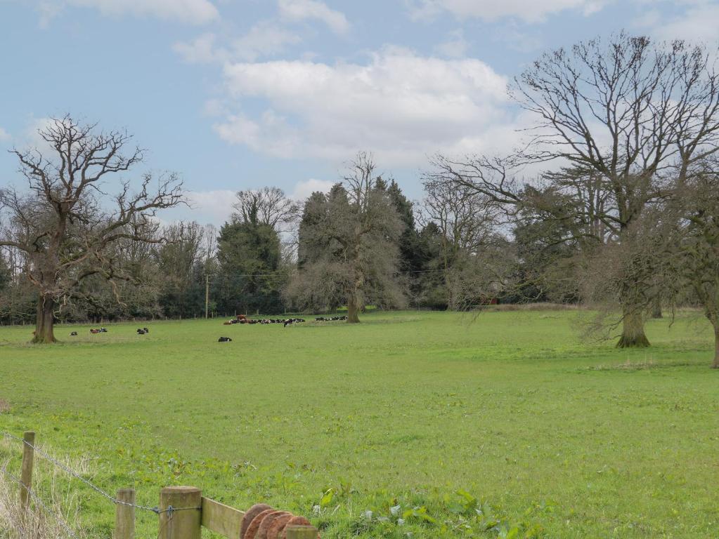 a field of green grass with cows in the distance at The Lazy Squire by The Water in Rugeley