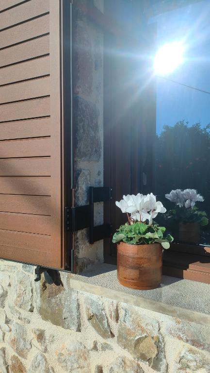 Fotografie z fotogalerie ubytování Nafplio Village v destinaci Nafplio