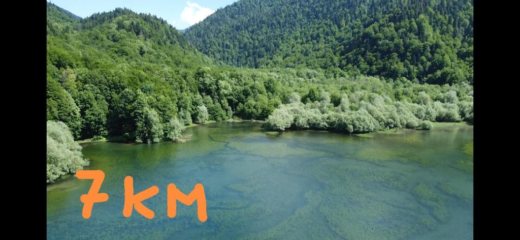 Příroda nedaleko apartmánu
