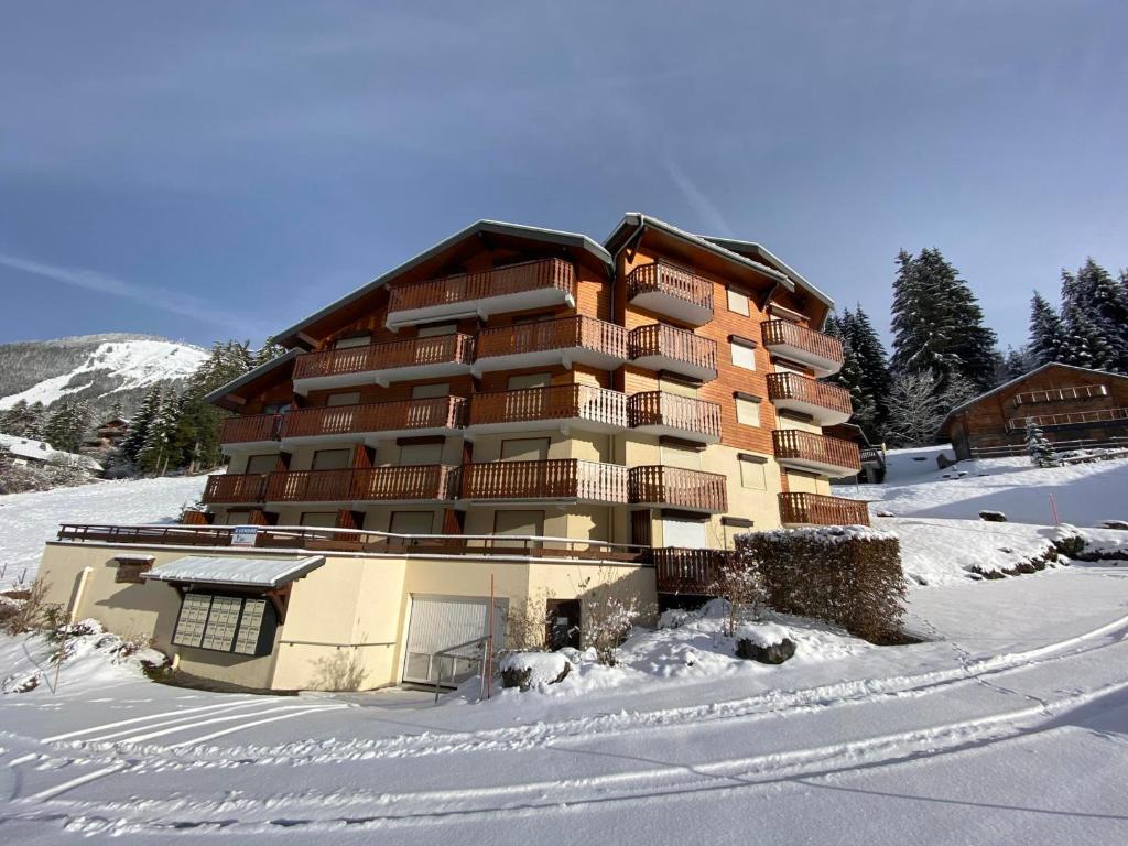Studio charmant à Châtel avec Multi Pass offert, à quelques minutes du centre-ville ! - FR-1-693-23 v zime