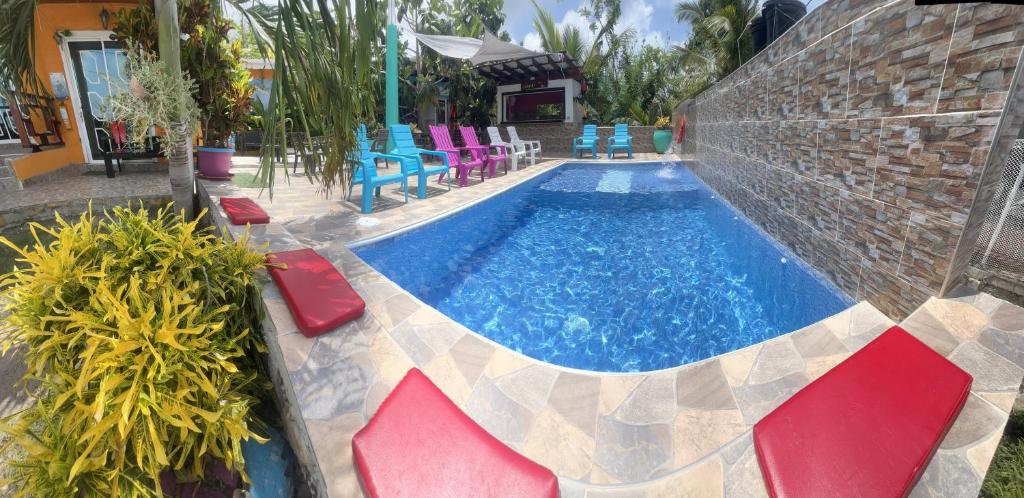 - une piscine entourée de chaises rouges et bleues dans l'établissement Posada Ashanty, à Île de la Providence