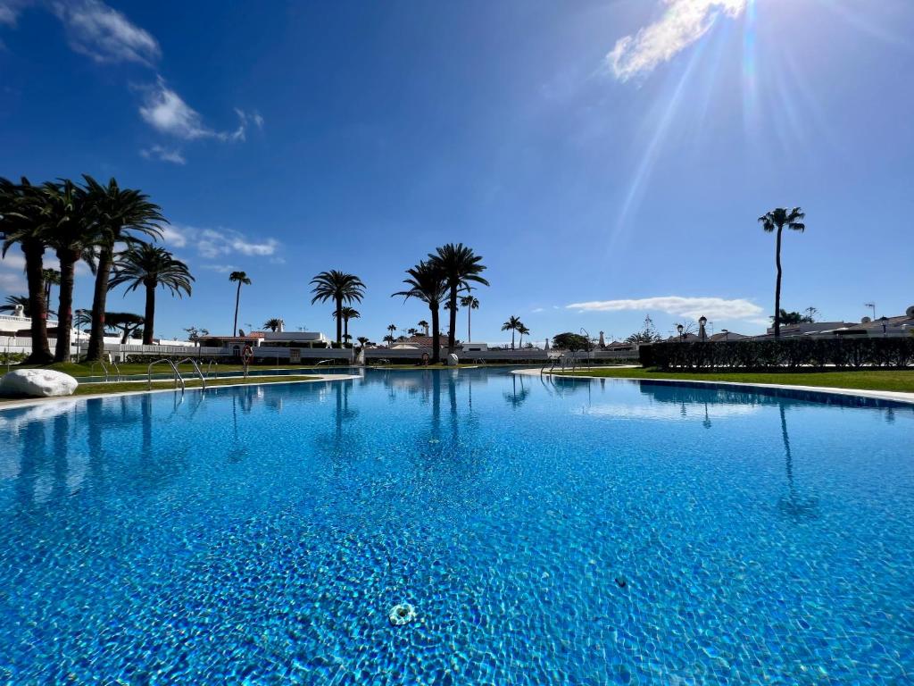 duży niebieski basen z palmami w tle w obiekcie Luxury bungalow Holycan w mieście San Bartolomé